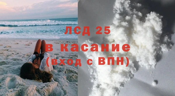 шишки Каменногорск