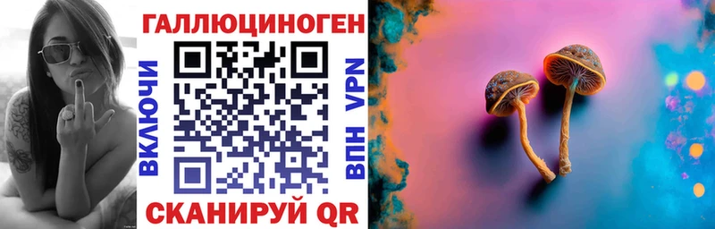 Галлюциногенные грибы Psilocybine cubensis  Купить где  Благодарный 